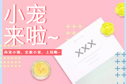 尚寵小鎮(zhèn) | 荷蘭豬豬、土撥鼠、柯爾鴨上線啦！做你貼心小寶貝~